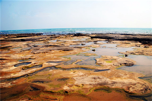 ��ʞ� ����������