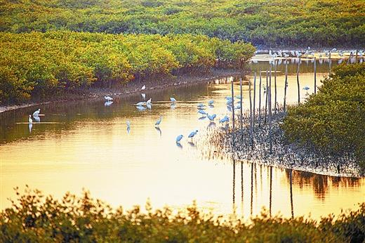 �����t���� ����������