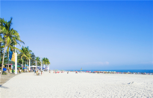 �����y�� �V������������