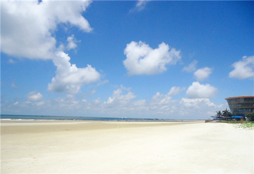 �����y�� ����������