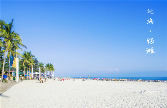 �����y�� �V������������