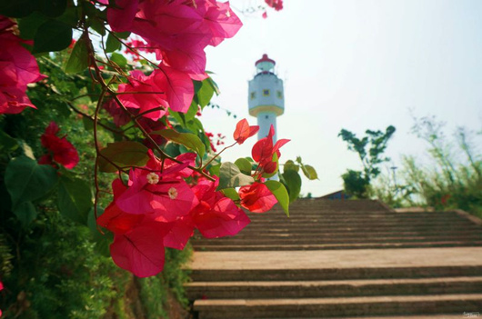 ���ލu���@ �������ξW(w��ng)