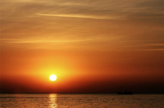 �ճ� �V������������