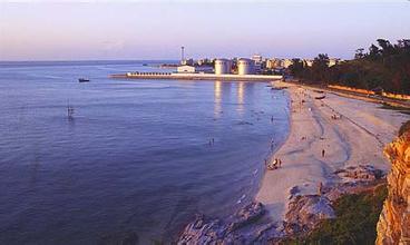 ���^�X �V������������