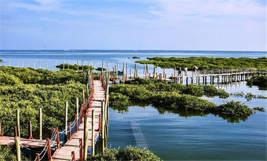 �t���� �V���������ξW(w��ng)