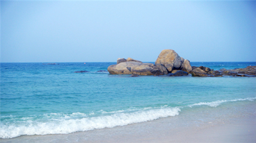 ���ލu �V���������ξW