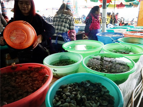 �Ј�(ch��ng) �V������������ �V���������ξW(w��ng)