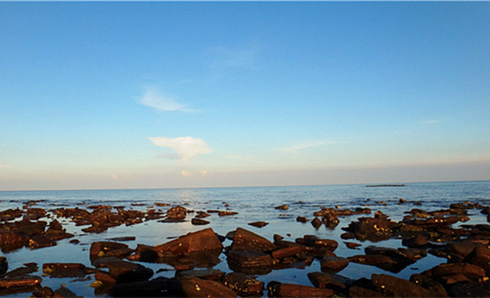 ��ʞ� �V������������