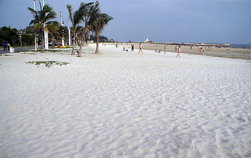 �V������������