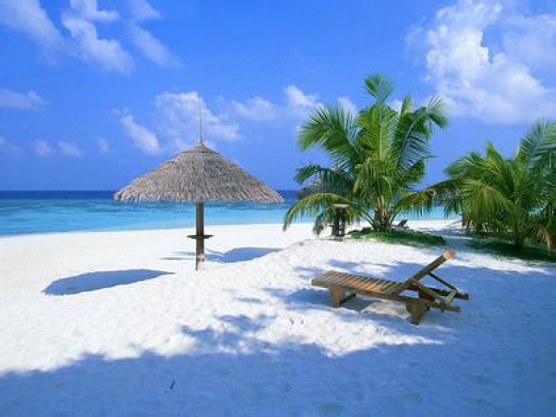 �V������������ ��������������