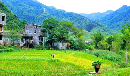 �V������������ ���������R����