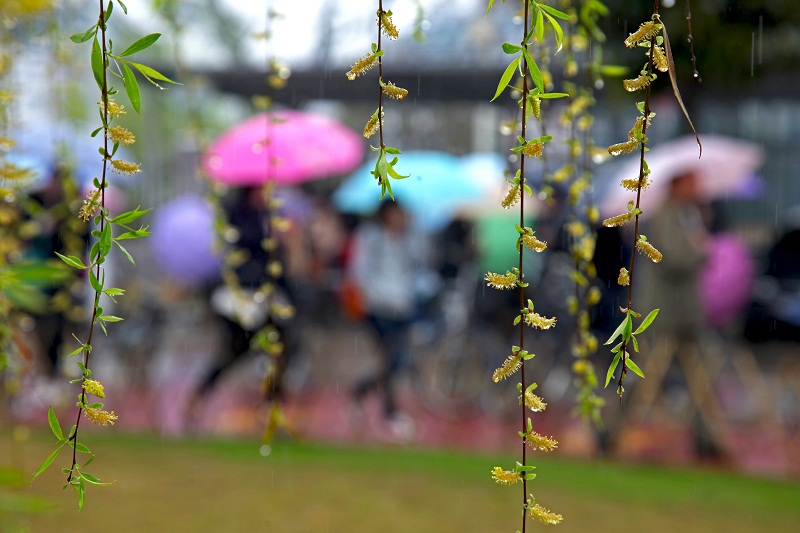 �V������������ ����