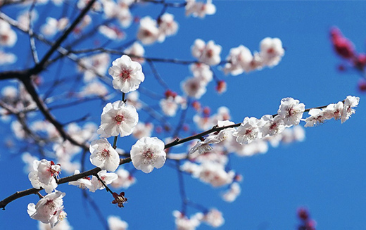 �V������������ ꖴ����� ��������