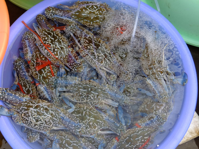 �V������������ ���ލu���ι���