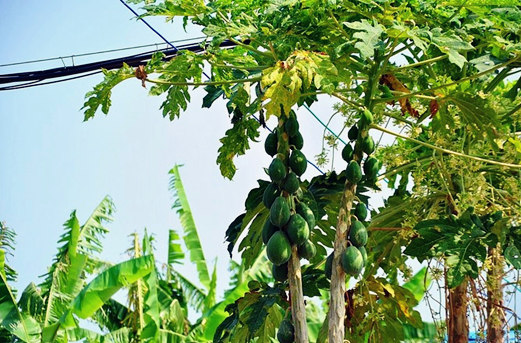 �V������������ ���ލu���ι���