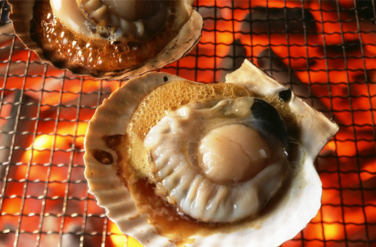 �V������������ ������ʳ