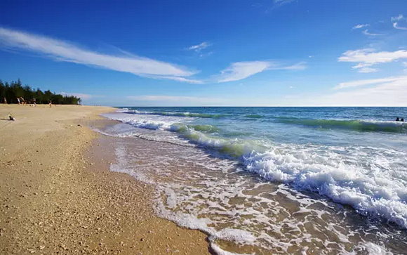 �V������������ ���ލu����