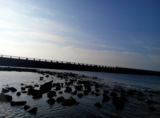 �V������������ ���ϱ���