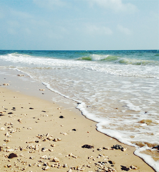 �V������������ ���ލu����