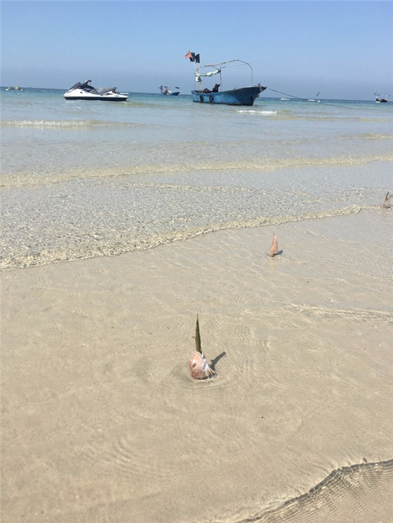 �V������������ �������ލu