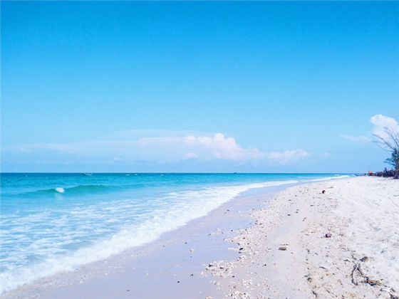 �V������������ ���ލu����