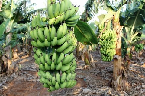 �V������������ ���ލu����