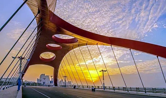 �V������������ �������ι���