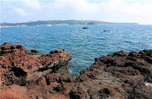 �V������������ �������ι���