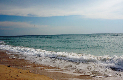 �V������������ ���ލu