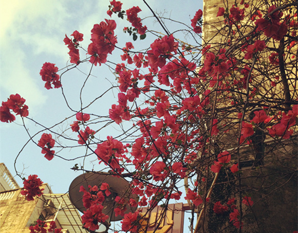 �V���������ξW(w��ng) �����Ͻ���ӛ