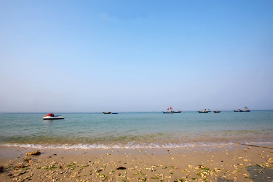 �����������V���������ξW(w��ng)