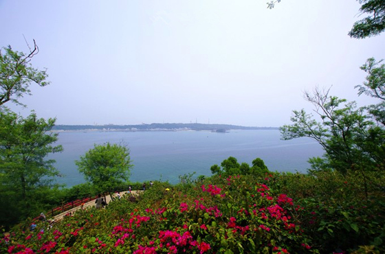 �����������V���������ξW(w��ng)