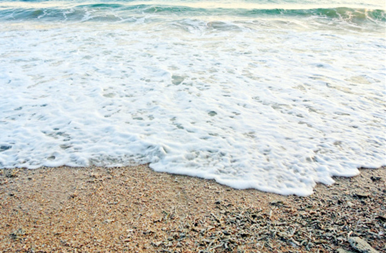 �����������V���������ξW(w��ng)