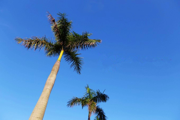 �����������V������������