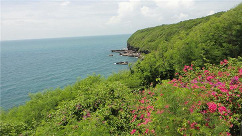 �����������V������������