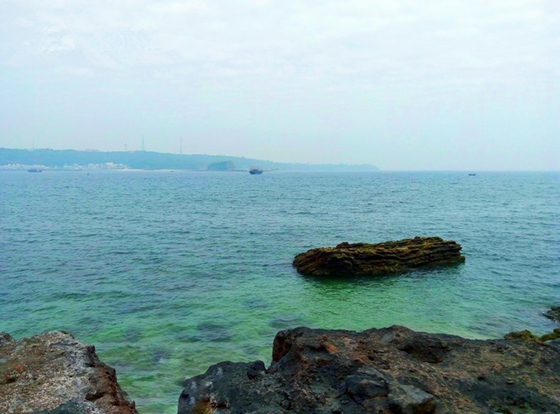 �����������V������������