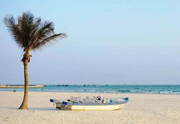 �V������������ ��������