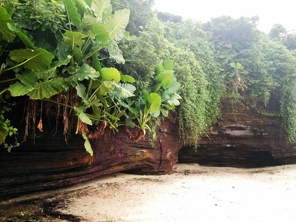 ���ލu���V���������ξW(w��ng)