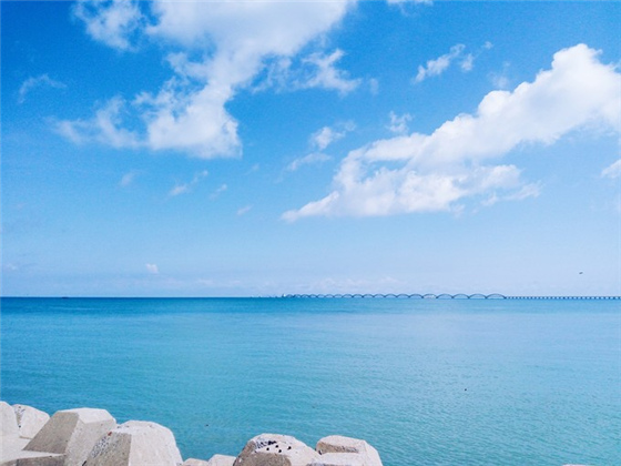 �������ލu���V������������