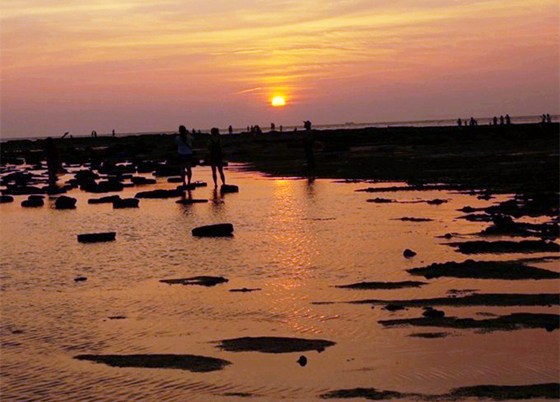 �������ލu���V������������