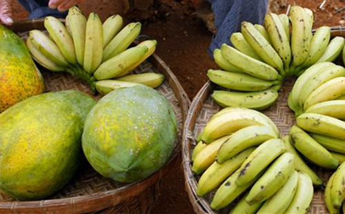 �������ލu���V������������