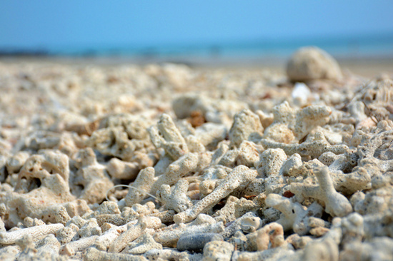 ���������ލu���V������������