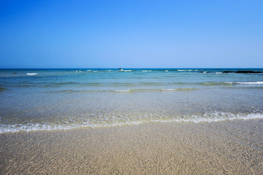 ���������ލu���V������������