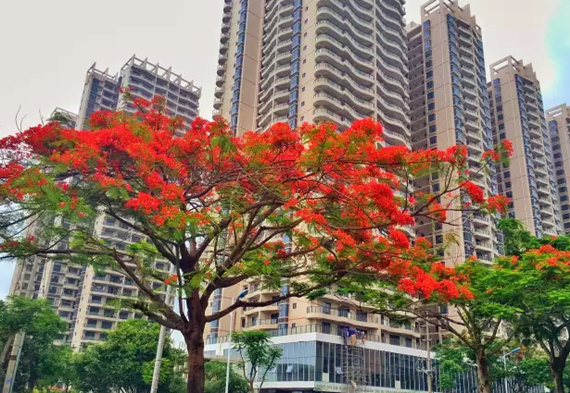 �����������V������������