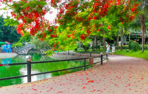 �����������V������������