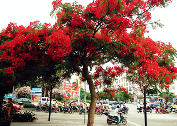 �����������V������������