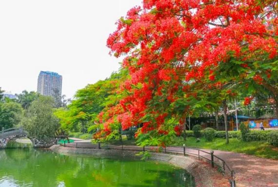 �����������V������������