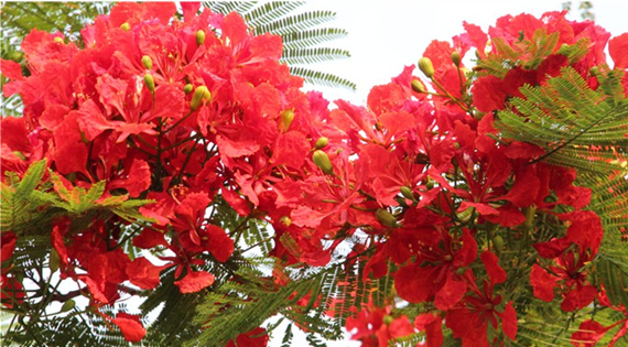 �����������V������������