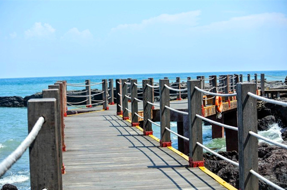 ���ލu�������V������������