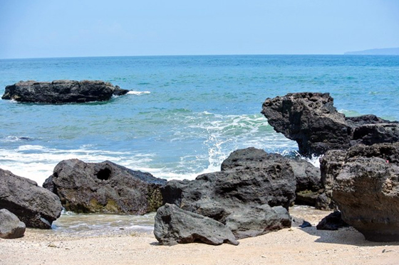 ���ލu�������V������������